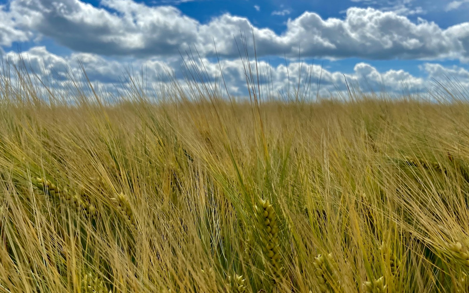 Sfeerbeeld van Beek en omgeving
